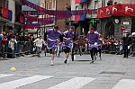 Gara delle Bighe 2011-7791